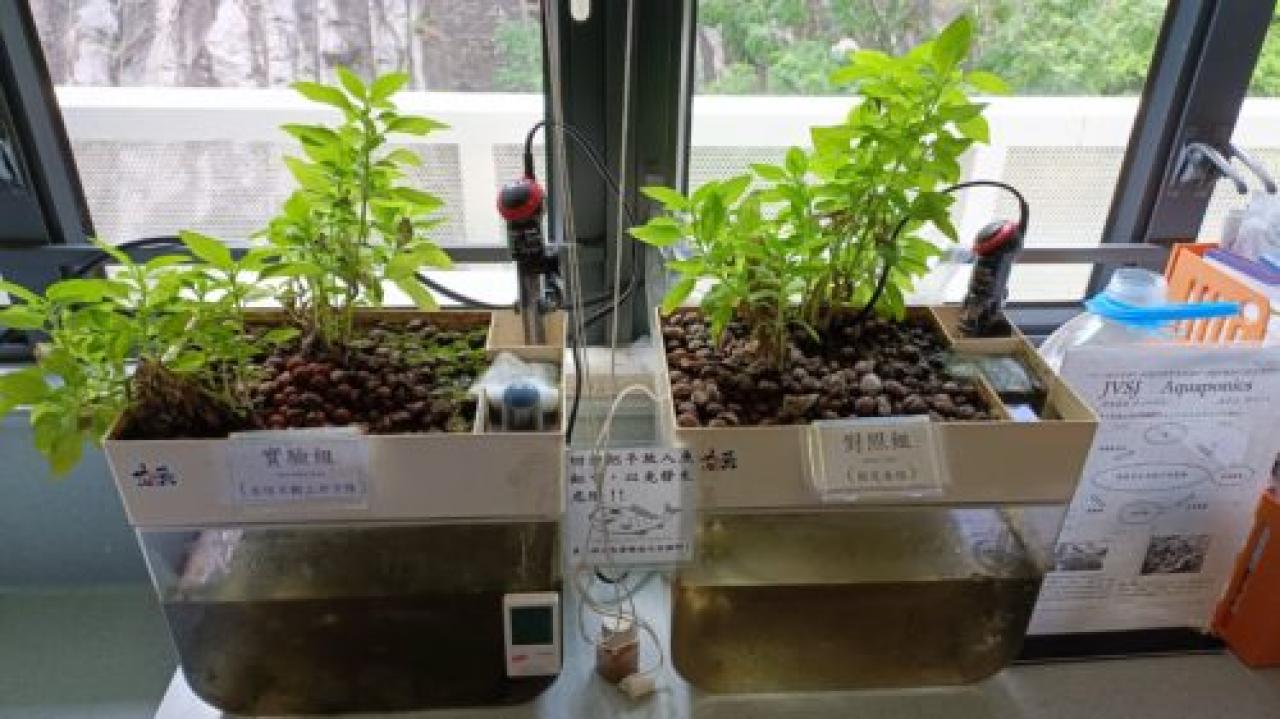 魚菜共生—綠色生活